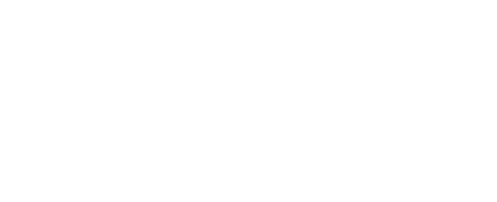analogAI